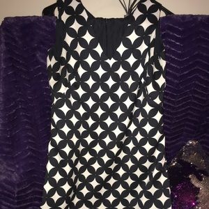 Navy and White Ann Taylor Dress Size 2